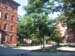 Harvard_Law_School