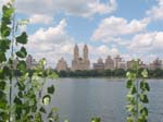 Central_Park_Big_Lake
