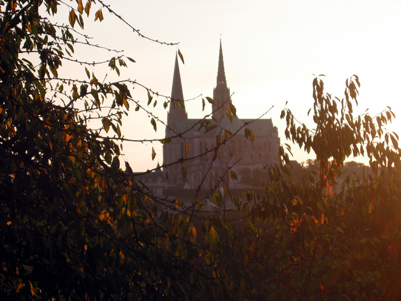 Chartres_cathedral_throug_leaves