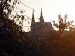 Chartres_cathedral_throug_leaves